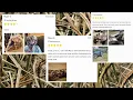 DIY Camo Wrap Roll for Outdoor Gears by Mossy Oak Graphic Matte Vinyl Roll for equipment