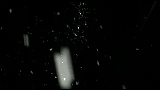 ع ورق الورد    دندنها