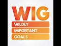 Wildly Important Goals