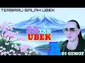 Download Lagu Ayu Amanda Salah Ubek Cover Adinda Gemoy  live Mister dolar musik