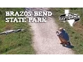 Brazos Bend State Park - GATORS ROAMING EVERYWHERE