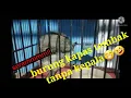 Download Lagu burung kapas tembak tanpa kepala#shots #shots