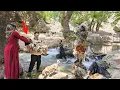 Download Lagu The Secret of the Mountain: The Hossein family's grueling effort to tame a nomadic girl