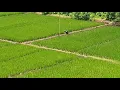 Download Lagu Pemandangan adem banget