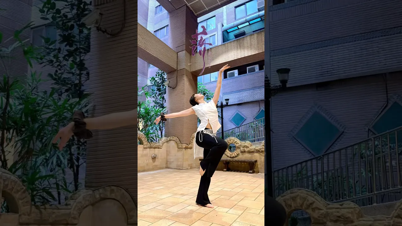 CHINESE STYLE -落 (CHORE BY MYSELF)