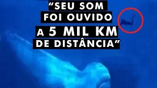 O MONSTRO BLOOP EXISTE MESMO?
