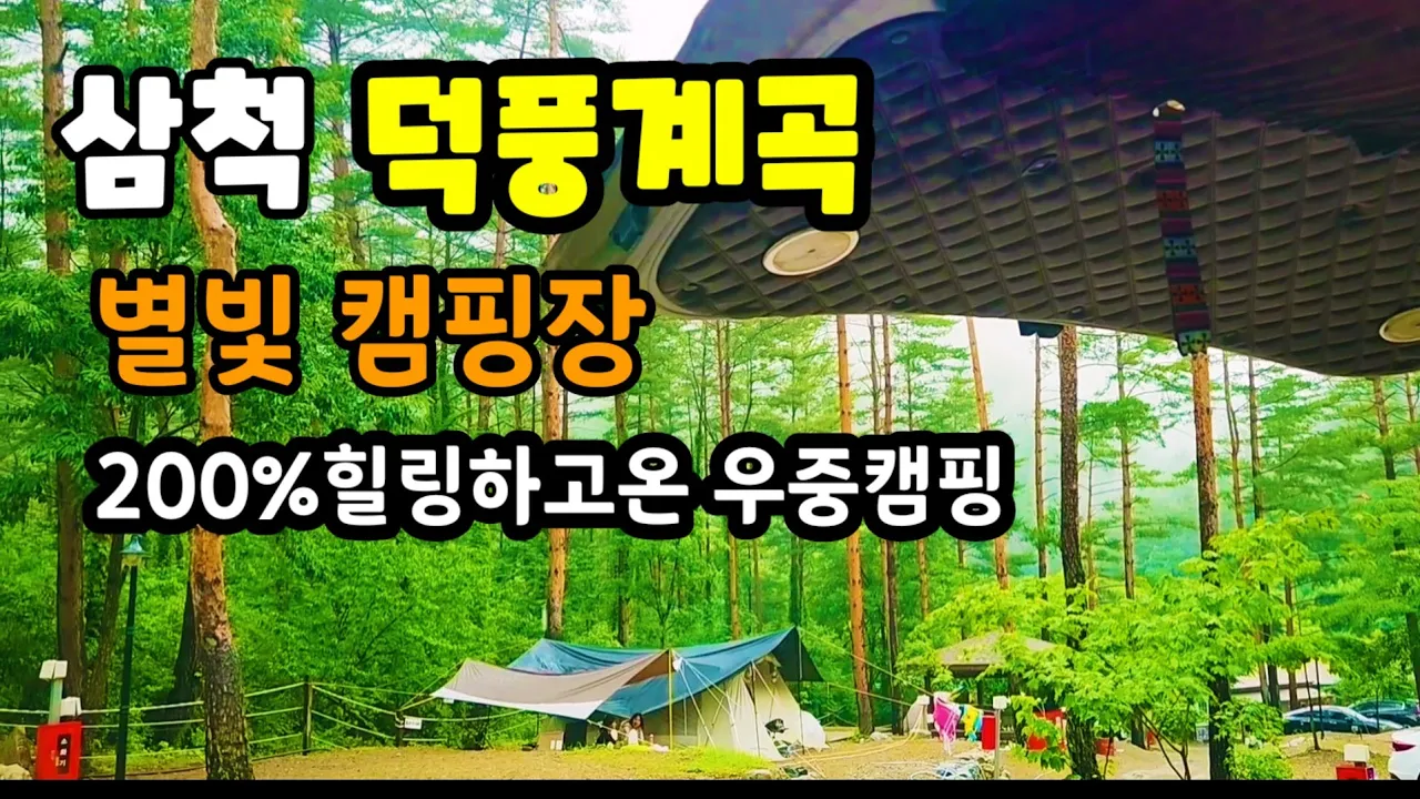 오지숲속에서의 우중캠핑! 삼척은 바다만 좋은줄 알았죠 | 대박예쁜 캠핑지 ㅣ스타렉스캠핑카 サムネイル