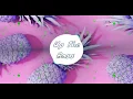 Download Lagu Party Favor - Circle Up (feat. Bipolar Sunshine) [BASS BOOSTED]