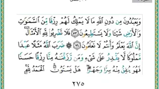 النحل ٧٣ ٧٩ 