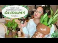 Target Head Planters Are Back Giveaway