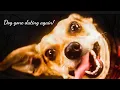 Download Lagu Second Date Update _ Dog gone dating again!