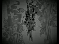 Visigoth - Steel and Silver KARAOKE
