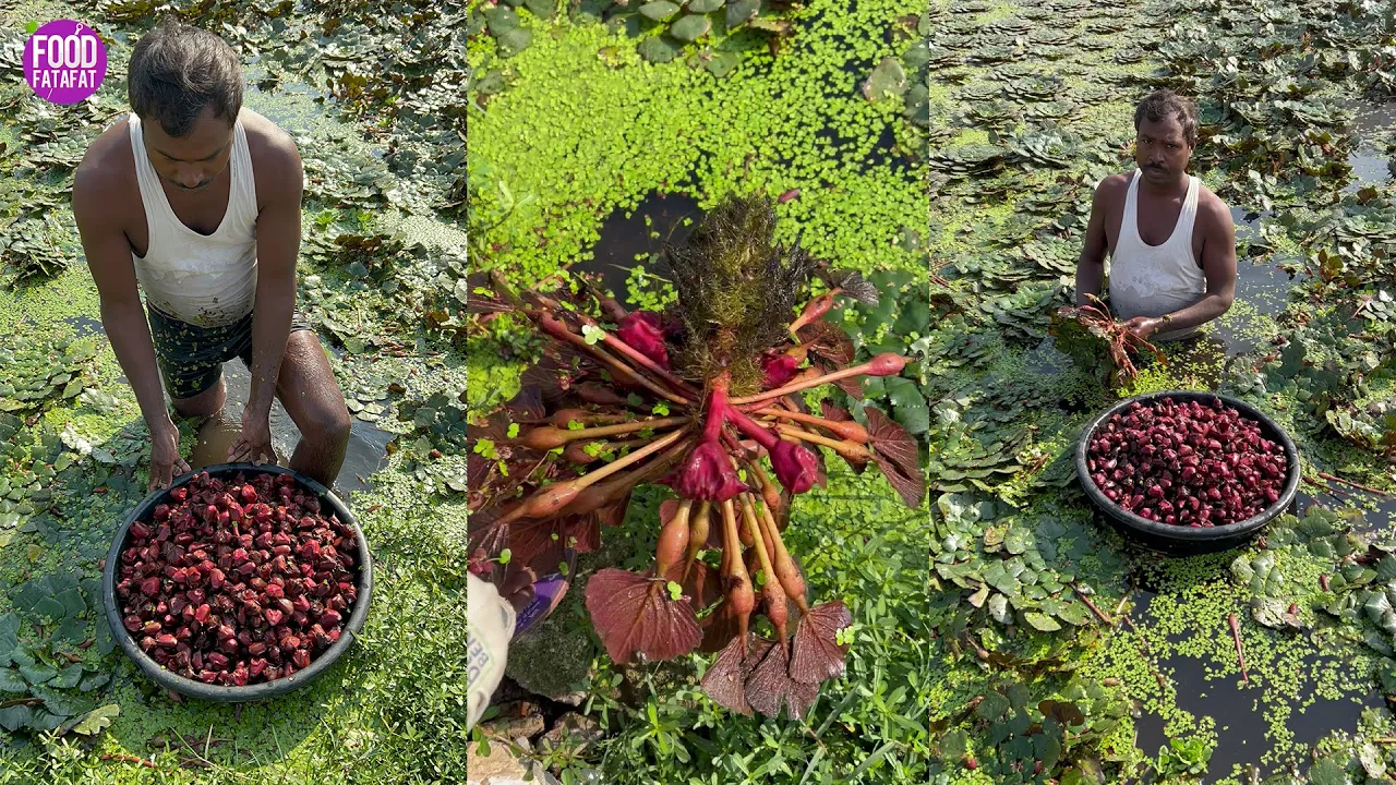           Water Chestnut Plant   Indian Street Food