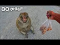 Download Lagu اليوم 80 من رحلة عبر المغرب 🇲🇦 جبل كوركو مدينة الناظور 😍