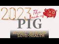 Zodiac signs The Pig in 2023 Chinese horoscope