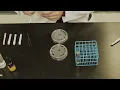 Antibiogram - Kirby-Bauer disk diffuson method