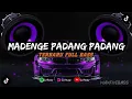 Download Lagu BUGIS TERBARU MADENGE PADANG PADANG FULL BASS PALING ENAK DIDENGAR #kumpulan #bugis #dj #djbugis