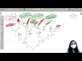 Print Maze Paths Module Recursion and Backtracking In English Python - 9