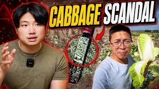 Chinese cabbages are poisonous | Clip