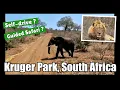 Download Lagu Self drive? or a Guided Safari?  Kruger National Park