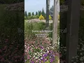 Why We Plant