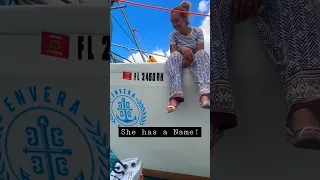 Hello EnVera⚓️♥️⛵️ Good to meet you 😎 #boatname #sailingaroundtheworld #sailing