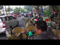 Download Lagu Naik ODONG-ODONG ULAR NAGA Keliling Alun-Alun Kota Malang, 23 Okt 2022