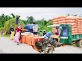 Download Lagu Use Truck Transport Rice and Thresher Machine in Harvest Season - Farm Life