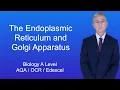 A Level Biology Revision The Endoplasmic Reticulum and Golgi Apparatus