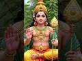 Lagu murugan song #sasti#murugansongs #muruganimages #muruga#10million
