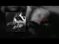 ويجز - نصين بالكلمات | Wegz - Nossein Lyrics