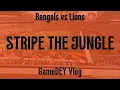 Bengals vs Lions Game Vlog STRIPE THE JUNGLE