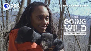 Into the Wild: Going Wild with Dr. Rae Wynn-Grant is Back
