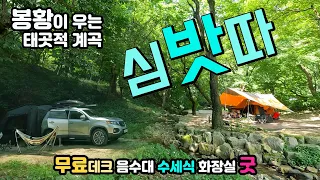 예천 명봉사계곡, 태곳적 무료 캠핑장 캠핑카 차박 캠핑, 데크 음수대 수세식 화장실 굿 이 영상으로 무더위 끝, 봉황이 운다는 천년사찰 탐방 썸네일