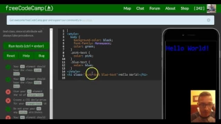 Override Class Declarations by Styling ID Attributes freeCodeCamp review lesson 49