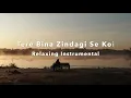 Lagu Tere Bina Zindagi Se Koi | Instrumental Music For Relaxing