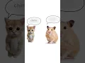Download Lagu Chisme Chisme phonk CC:míos :D