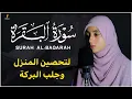 Surah Al-Baqarah Full || By Mennatallahramadan (HD) With Arabic | سورة البقره