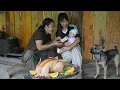 Download Lagu Cooking chicken stew for child, grapefruit harvest, quiet moments on the farm, SURVIVAL ALONE