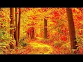 New England Autumn Scenery, Peaceful Soothing Instrumental Music, by Tim Janis