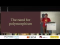 The many shapes of Polymorphism by Luca Molteni