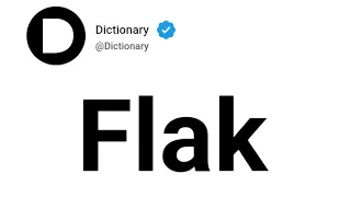 Flak Meaning In English