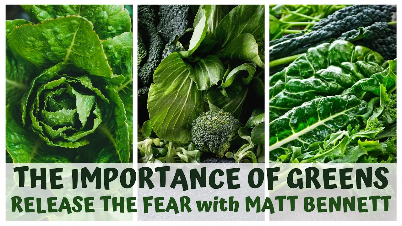 THE IMPORTANCE OF GREENS & RELEASE THE FEAR with Matt  @rawintuition