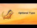Zig Optional Types Tutorial 45