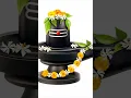 Download Lagu Om Nama Shivaya #song #music