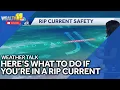 Weather Talk Here s what to do in a rip current