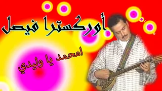 أوركسترا فيصل امحمد يا وليدي دندنها