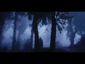 Meet Me Like Ghosts - Lord Huron Mashup (Meet me in the woods x Love Like Ghosts x The Night We Met)