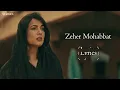 Zeher Mohabbat (LYRICS) - Afsana Khan| Sonal Chauhan| Taha Badussha | Lakshay - Siddharth | Dhrruv