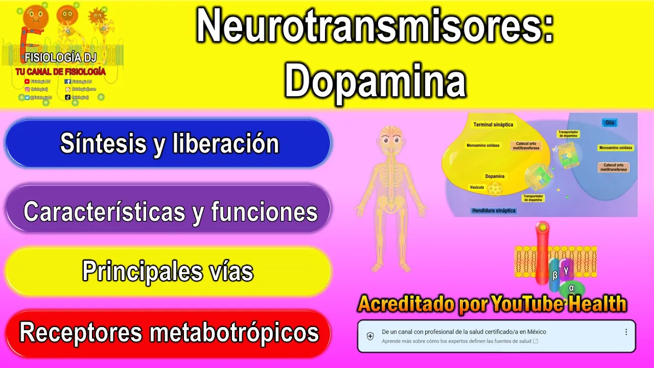 Neurotransmisores | Sistema nervioso central | Dopamina | Dopamina neurotransmisor